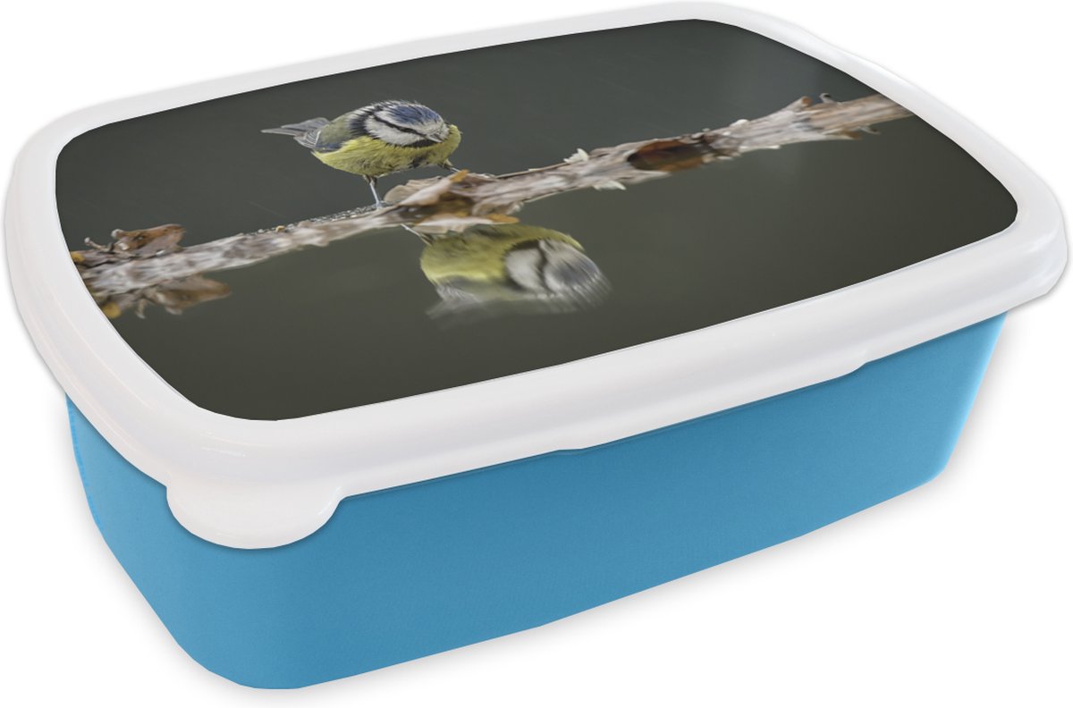 Broodtrommel Blauw - Lunchbox - Brooddoos - Vogel - Water - Reflectie - 18x12x6 cm - Kinderen - Jongen