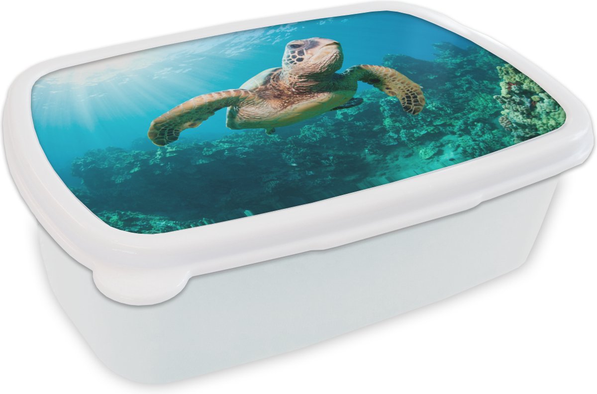Broodtrommel Wit - Lunchbox - Brooddoos - Zwemmende schildpad fotoafdruk - 18x12x6 cm - Volwassenen