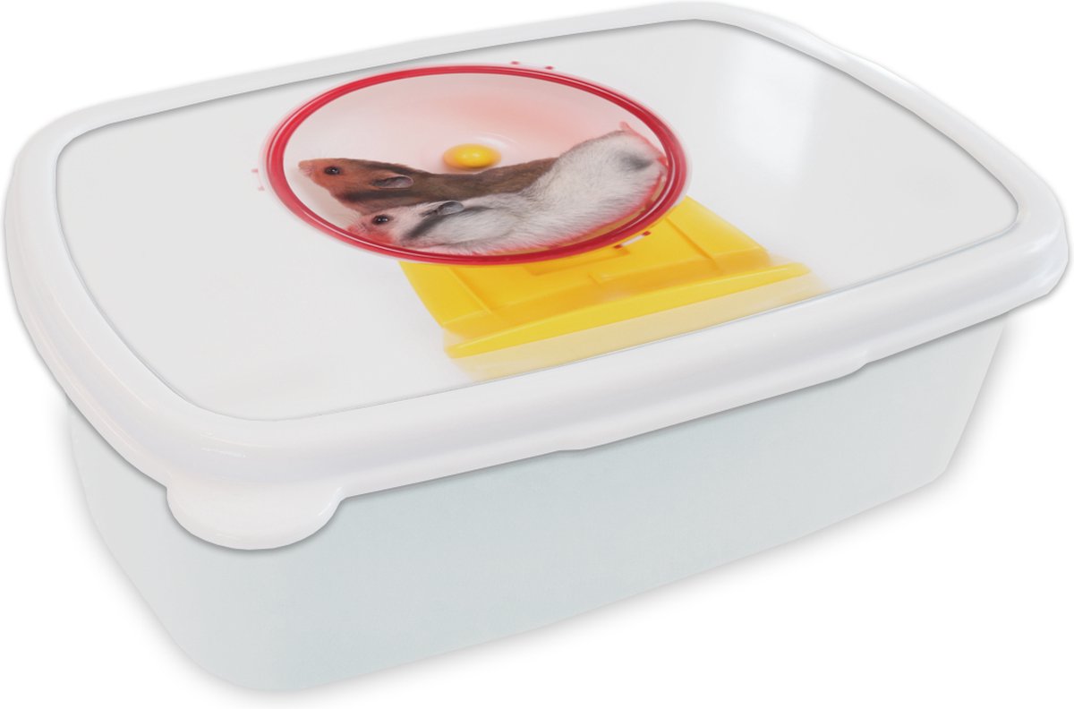 Broodtrommel Wit - Lunchbox - Brooddoos - Hamsters in een wiel - 18x12x6 cm - Volwassenen