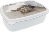 Broodtrommel Wit - Lunchbox Kitten - Zon - Bruin - Meisjes - Kinderen - Jongens - Kindje - Brooddoos 18x12x6 cm - Brood lunch box - Broodtrommels voor kinderen en volwassenen