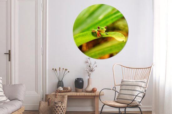 Grenouille maca aux yeux rouges entre les feuilles au Costa Rica Assiette en plastique cercle mural ⌀ 120 cm - impression photo sur cercle mural / cercle vivant (décoration murale)