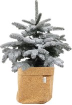 Kerstboom Picea sneeuw in Sizo bag (kurk) ↨ 85cm - planten - binnenplanten - buitenplanten - tuinplanten - potplanten - hangplanten - plantenbak - bomen - plantenspuit