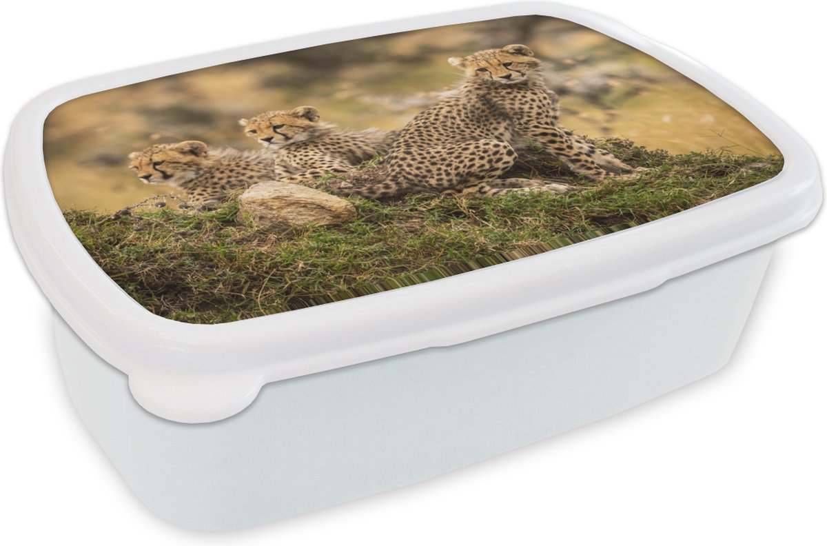 Broodtrommel Wit - Lunchbox - Brooddoos - Luipaard - Bos - Dier - 18x12x6 cm - Volwassenen