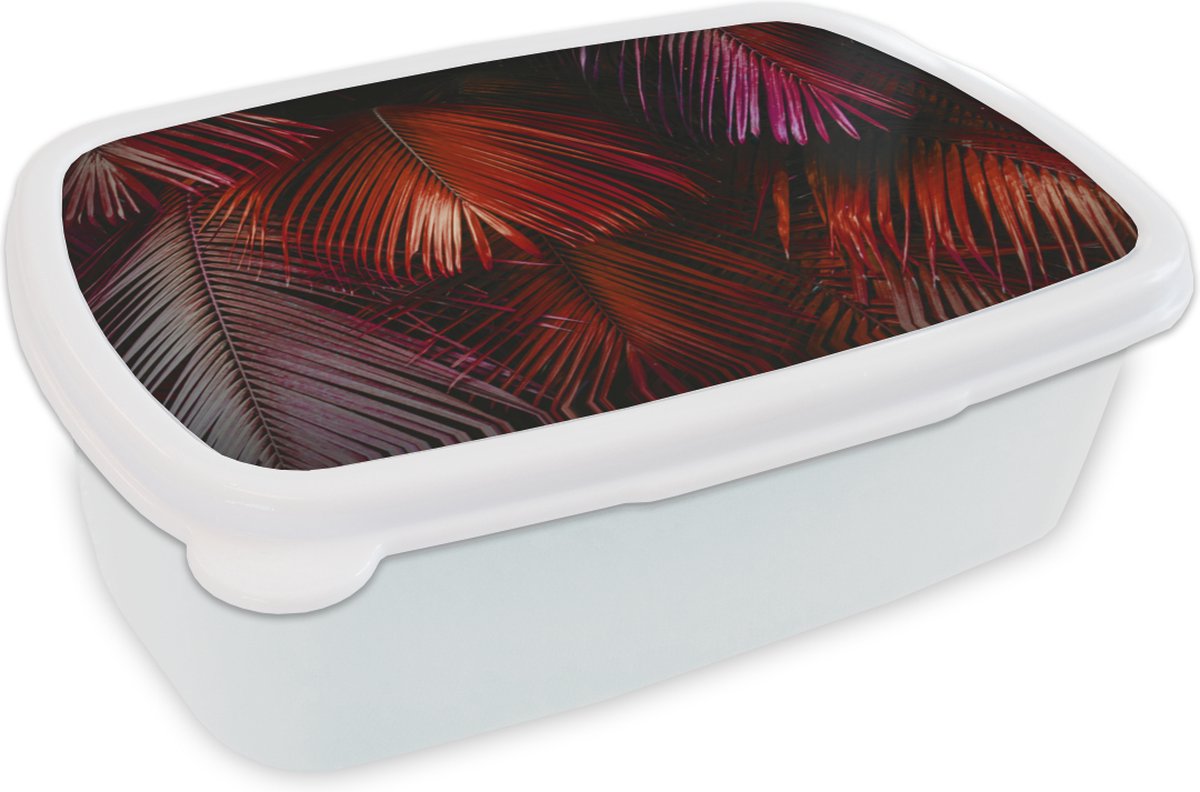 Broodtrommel Wit - Lunchbox - Brooddoos - Palmblad - Jungle - Rood - 18x12x6 cm - Volwassenen