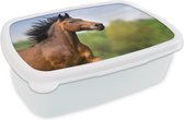 Broodtrommel Wit - Lunchbox Paard - Dier - Manen - Bruin - Brooddoos 18x12x6 cm - Brood lunch box - Broodtrommels voor kinderen en volwassenen