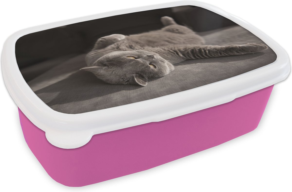 Broodtrommel Roze - Lunchbox - Brooddoos - Dier - Poes - Grijs - 18x12x6 cm - Kinderen - Meisje