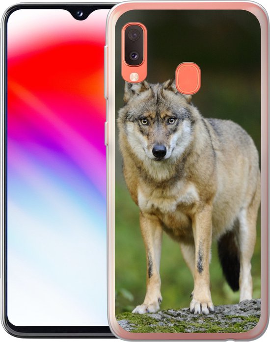 Coque Samsung Galaxy A20e - Loup - Asie - Plantes - Coque de téléphone en Siliconen