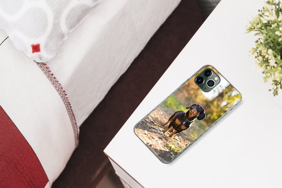 Coque iPhone 11 Pro Max - Un teckel dans la forêt - Coque en Siliconen pour téléphone