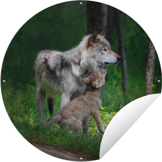 Tuincirkel Wolf - Baby - Bos - 60x60 cm - Ronde Tuinposter - Buiten