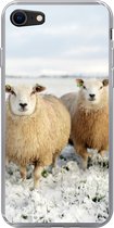Geschikt voor iPhone 8 hoesje - Groep nieuwsgierige schapen - Siliconen Telefoonhoesje