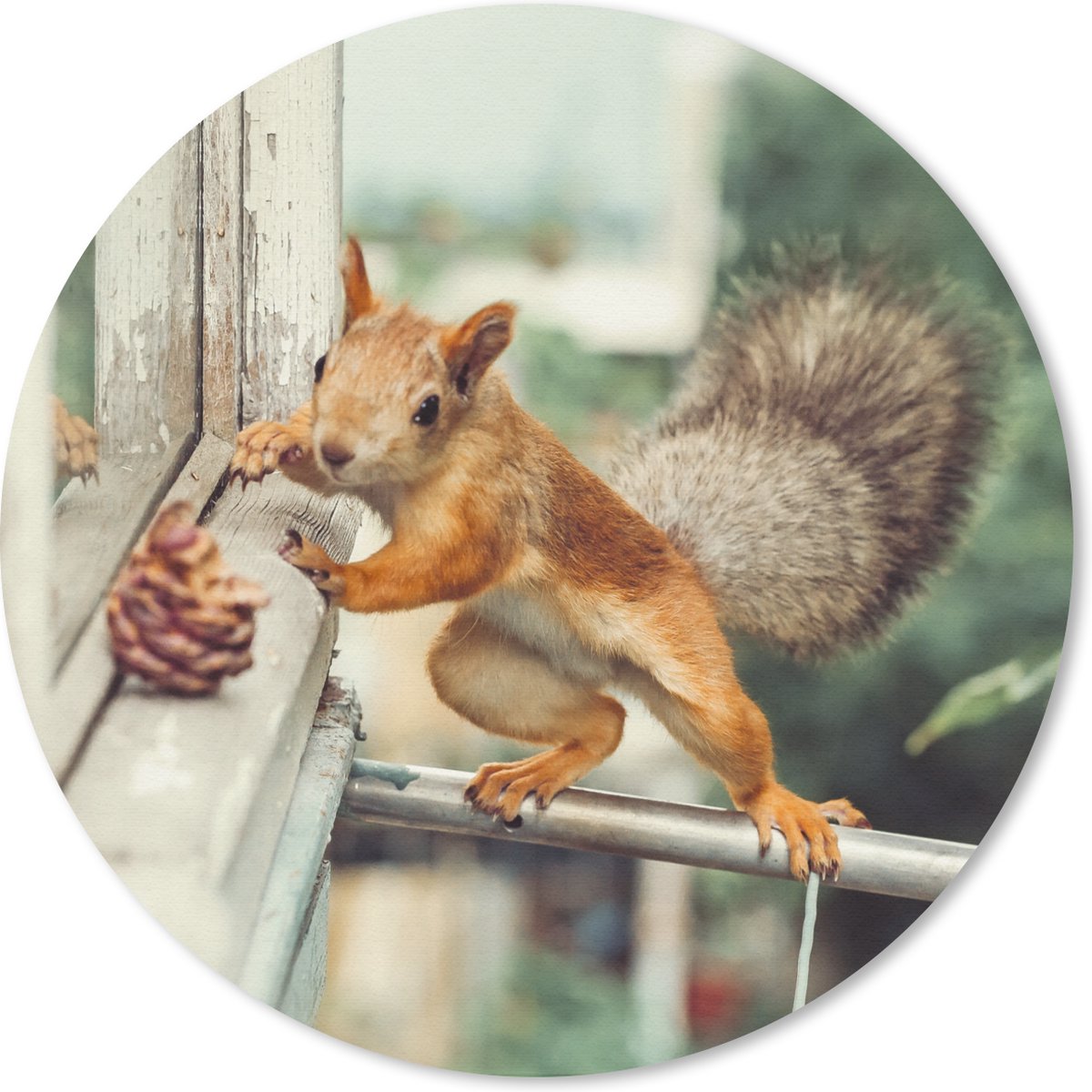 Muismat rond 40x40 cm - Mousepad Eekhoorn - Raam - Herfst - Dennenappel - Ronde muismatten