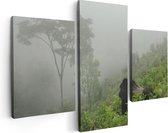 Artaza Canvas Schilderij Drieluik Gorilla in het Woud tijdens de Mist - 90x60 - Foto Op Canvas - Canvas Print