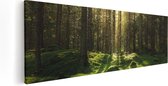 Artaza Canvas Schilderij Bos met Groen Mos op de Grond - 120x40 - Groot - Foto Op Canvas - Canvas Print