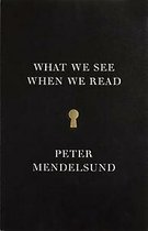 What We See When We Read