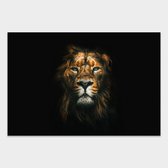 Artistic Lab Poster - Lion - 250 X 400 Cm - Multicolor