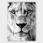 Poster Light Lion - Dibond - 50x70 cm - Meerdere Afmetingen & Prijzen | Wanddecoratie - Interieur - Art - Wonen - Schilderij - Kunst