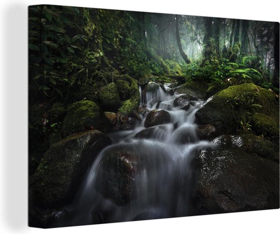 Canvas Schilderij Een beek in het regenwoud van Borneo in Indonesië - 60x40 cm - Wanddecoratie