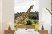 Behang - Fotobehang Giraf - Planten - Dier - Breedte 145 cm x hoogte 220 cm