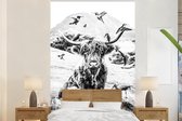 Behang - Fotobehang Schotse hooglander - Dieren - Berg - Breedte 200 cm x hoogte 300 cm