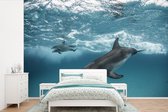 Behang - Fotobehang Dolfijn - Water - Zee - Breedte 600 cm x hoogte 400 cm