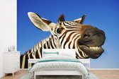 Behang - Fotobehang Zebra - Grappig - Kinderen - Kids - Jongens - Meisjes - Breedte 390 cm x hoogte 260 cm