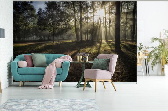 Forêt brumeuse pendant un fotobehang de lever de soleil