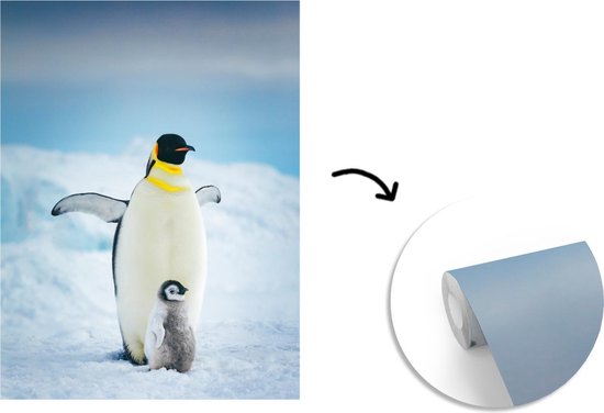 Vinyle mural Papier peint photo - Empereur pingouin avec cub largeur 225 cm x hauteur 280 cm - impression sur le papier peint photo (disponible en 7 tailles)