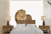 Papier peint - Papier peint - Papier peint photo animal lion - Largeur 220 cm x hauteur 220 cm