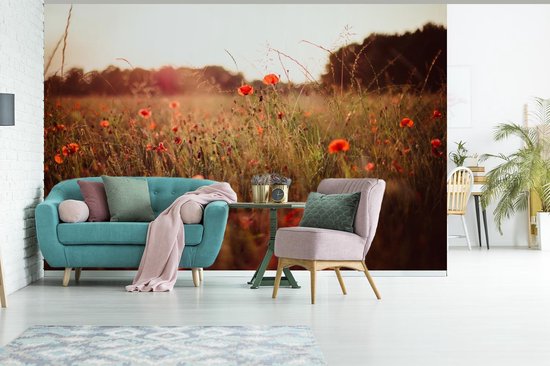 Papier peint photo vinyle - Champ d'herbes hautes et coquelicots au coucher du soleil largeur 600 cm x hauteur 400 cm - Tirage photo sur papier peint (disponible en 7 tailles)