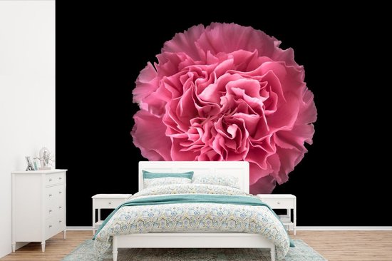 Papier peint photo peint photo vinyle - Oeillet rose sur fond noir largeur 330 cm x hauteur 220 cm - Tirage photo sur papier peint (disponible en 7 tailles)