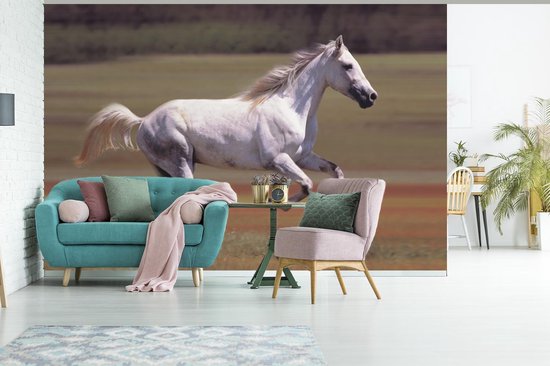 Fond d' écran - Papier peint photo - Enthousiaste cheval blanc courir dans le champ d'herbe - Largeur 450 cm x hauteur 300 cm
