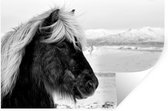 Muurstickers - Sticker Folie - Paard - Sneeuw - IJsland - 30x20 cm - Plakfolie - Muurstickers Kinderkamer - Zelfklevend Behang - Zelfklevend behangpapier - Stickerfolie