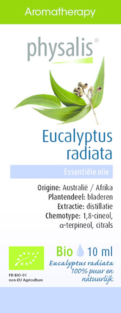 Goedkoopste Physalis Eucalyptus radiata bio (10ml