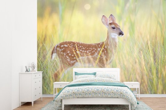 Papier peint Papier peint photo en vinyle - Jeune cerf dans l'herbe haute largeur 385 cm x hauteur 280 cm - Tirage photo sur papier peint (disponible en 7 tailles)