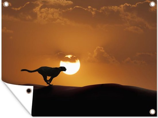 Tuinposter - Tuindoek - Tuinposters buiten - Silhouet van een cheeta in de woestijn - 120x90 cm - Tuin