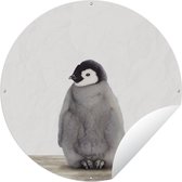 Tuincirkel Pinguïn - Dieren - Baby - 150x150 cm - Ronde Tuinposter - Buiten