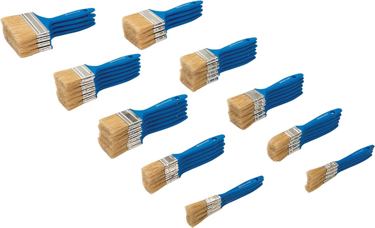 Goedkoopste Silverline Wegwerp schilderskwasten set - 50 delig - diverse maten - ideaal voor fijn verfwerk en schoonmaak