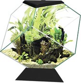 Ciano Aquarium Nexus Betta 14C Zwart