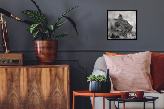 Cadre photo avec affiche - Lionne - Cub - Zwart - 40x40 cm - Cadre pour affiche