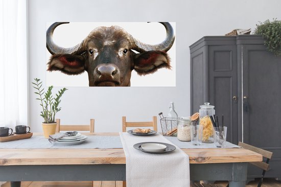 Affiche Buffalo - Buffle d'eau - Tête - Vache - Cornes - Salon - Couloir - Chambre - 160x80 cm