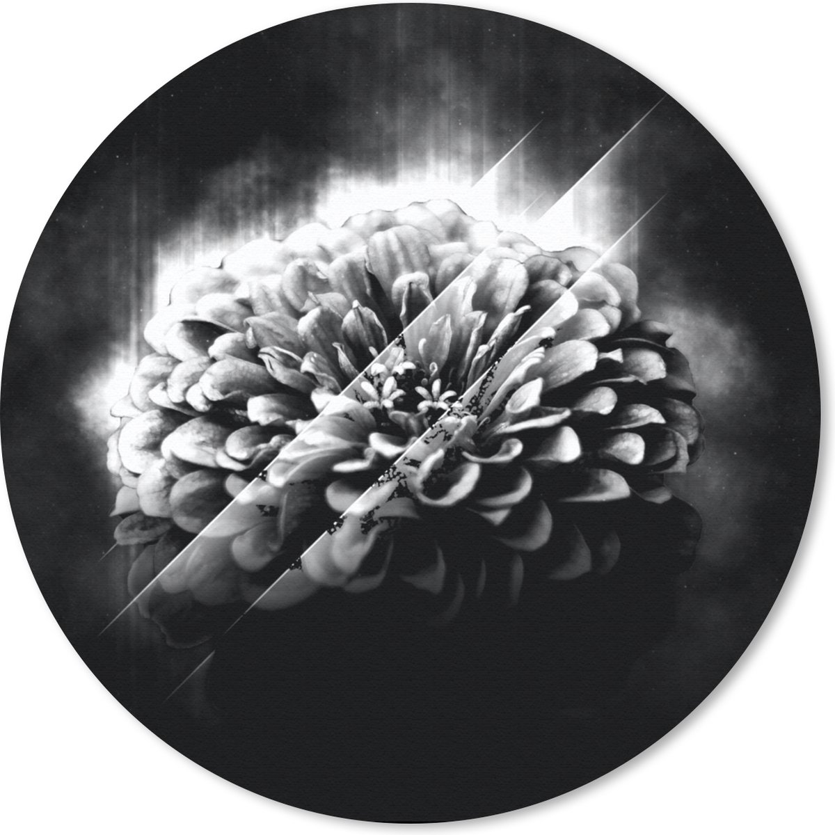 Muismat rond 20x20 cm - Mousepad Rozen - Bloemen - Licht - Zwart - Wit - Ronde muismatten