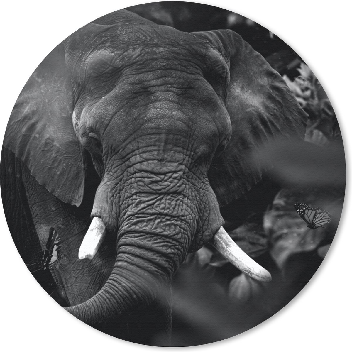 Muismat rond 20x20 cm - Mousepad Dieren - Olifant - Vlinders - Zwart - Wit - Ronde muismatten