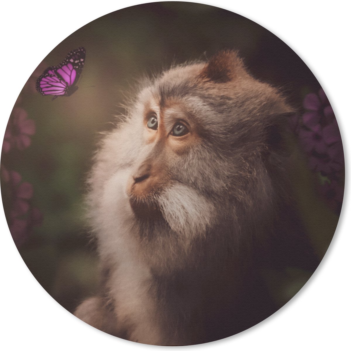 Muismat rond 20x20 cm - Mousepad Vlinder - Aap - Natuur - Ronde muismatten