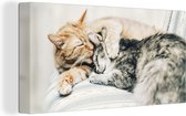 Toile Peinture Chats - Canapé - Salon - 160x80 cm - Décoration murale