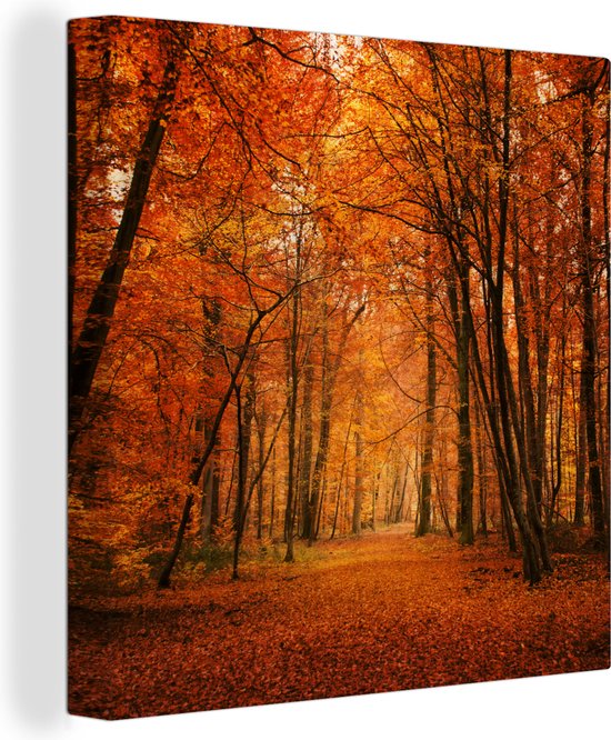 Tableau sur toile Une forêt aux couleurs automnales - 50x50 cm - Décoration murale