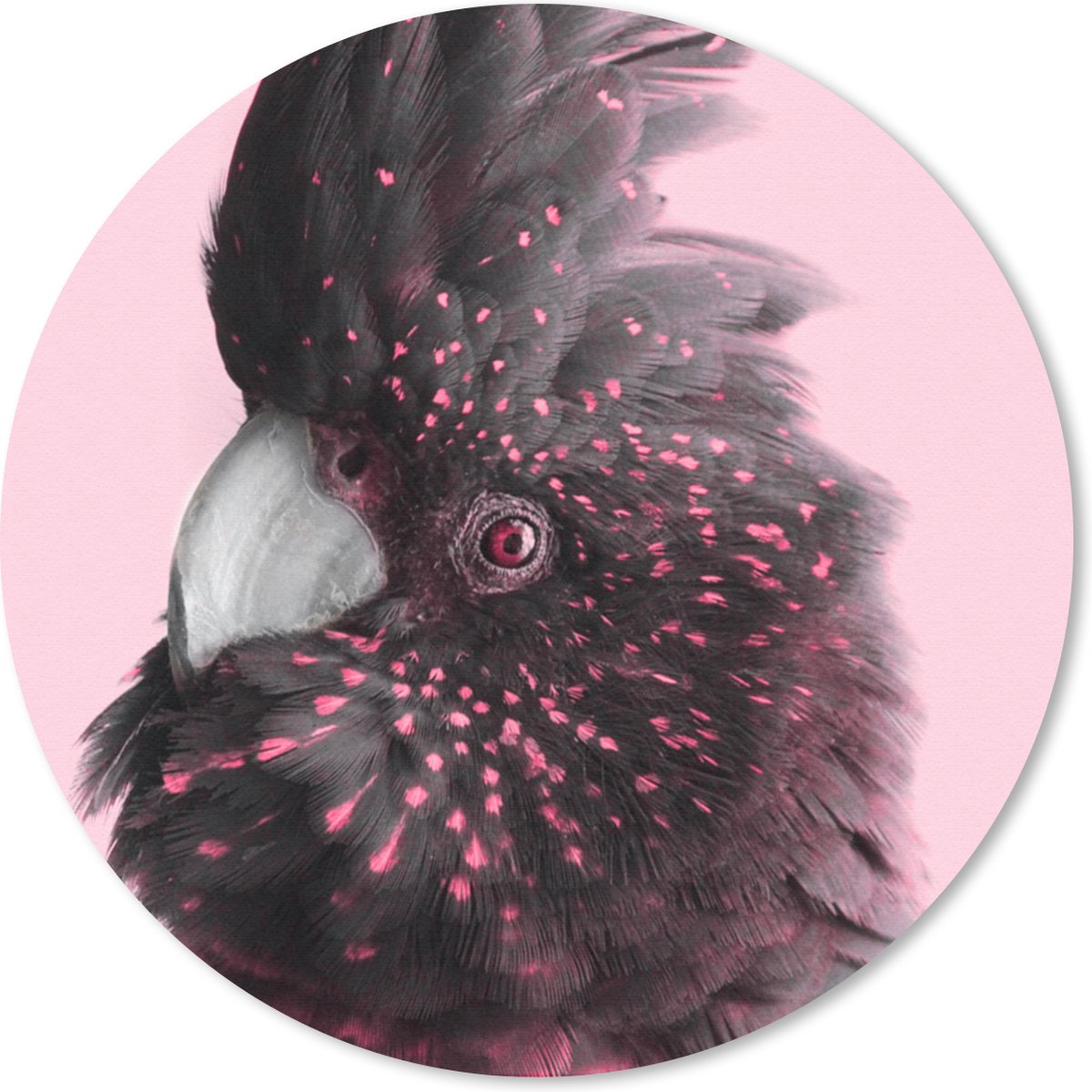 Muismat rond 20x20 cm - Mousepad Kaketoe - Roze - Zwart - Ronde muismatten