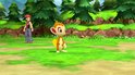 Een Chimchar en een spelerfiguur in een grasrijke omgeving.