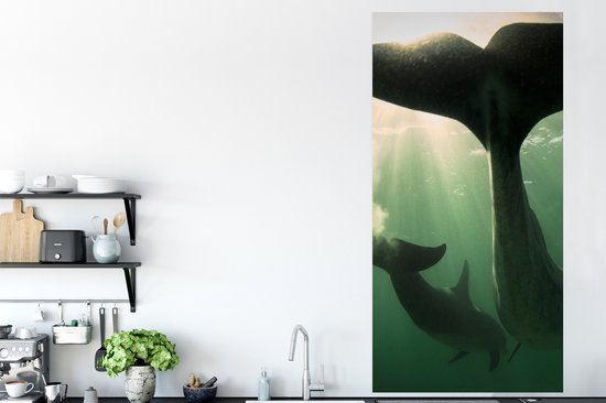 Affiche Dauphin - Water - Blauw - 80x160 cm