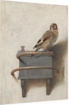 Het puttertje, Carel Fabritius - Foto op Dibond - 60 x 80 cm