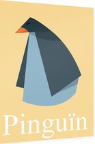 Poster Kleine pinguïn (Dibond) - 60 x 80 cm